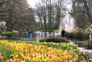 Fra Amsterdam: Keukenhof-inngang med skyttelbuss