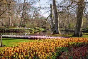 Fra Amsterdam: Keukenhof-inngang med skyttelbuss