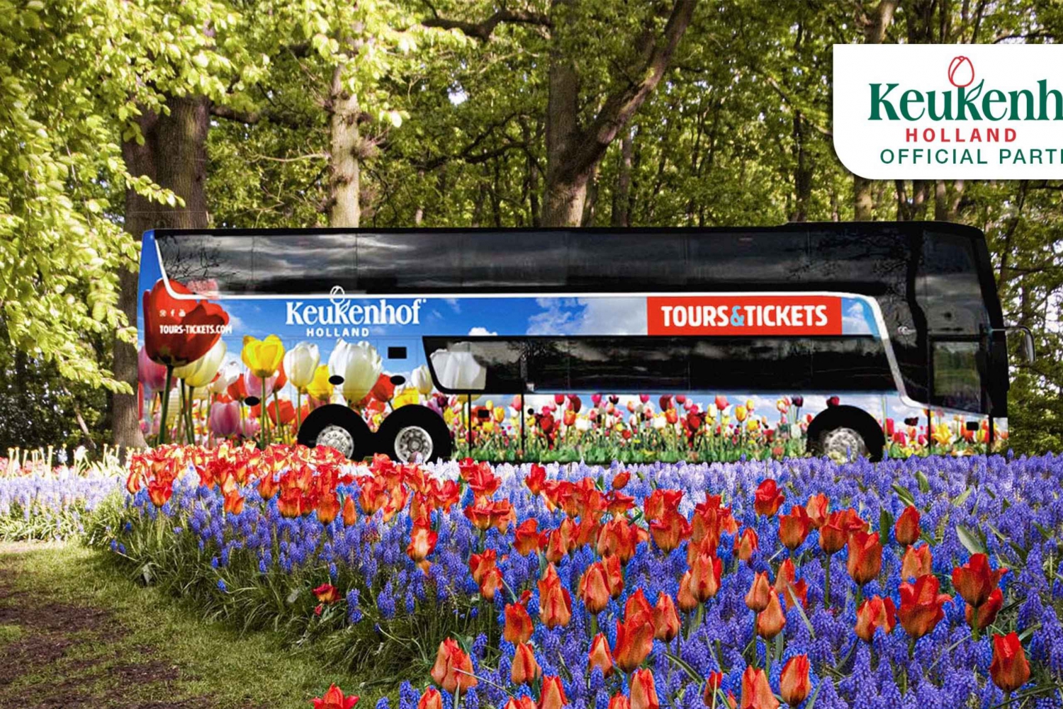 Z Amsterdamu: Keukenhof Flower Park Transfer i bilet 2025