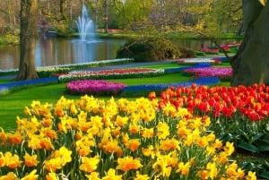 From Amsterdam: Keukenhof Flower Park Transfer & Ticket 2025