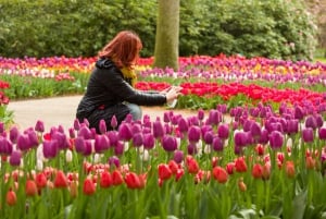 From Amsterdam: Keukenhof Flower Park Transfer & Ticket 2025