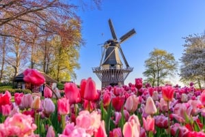 From Amsterdam: Keukenhof Flower Park Transfer & Ticket 2025