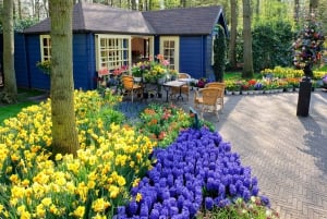 From Amsterdam: Keukenhof Flower Park Transfer & Ticket 2025