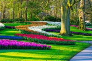 From Amsterdam: Keukenhof Flower Park Transfer & Ticket 2025