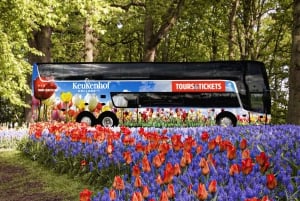 From Amsterdam: Keukenhof Flower Park Transfer & Ticket 2025