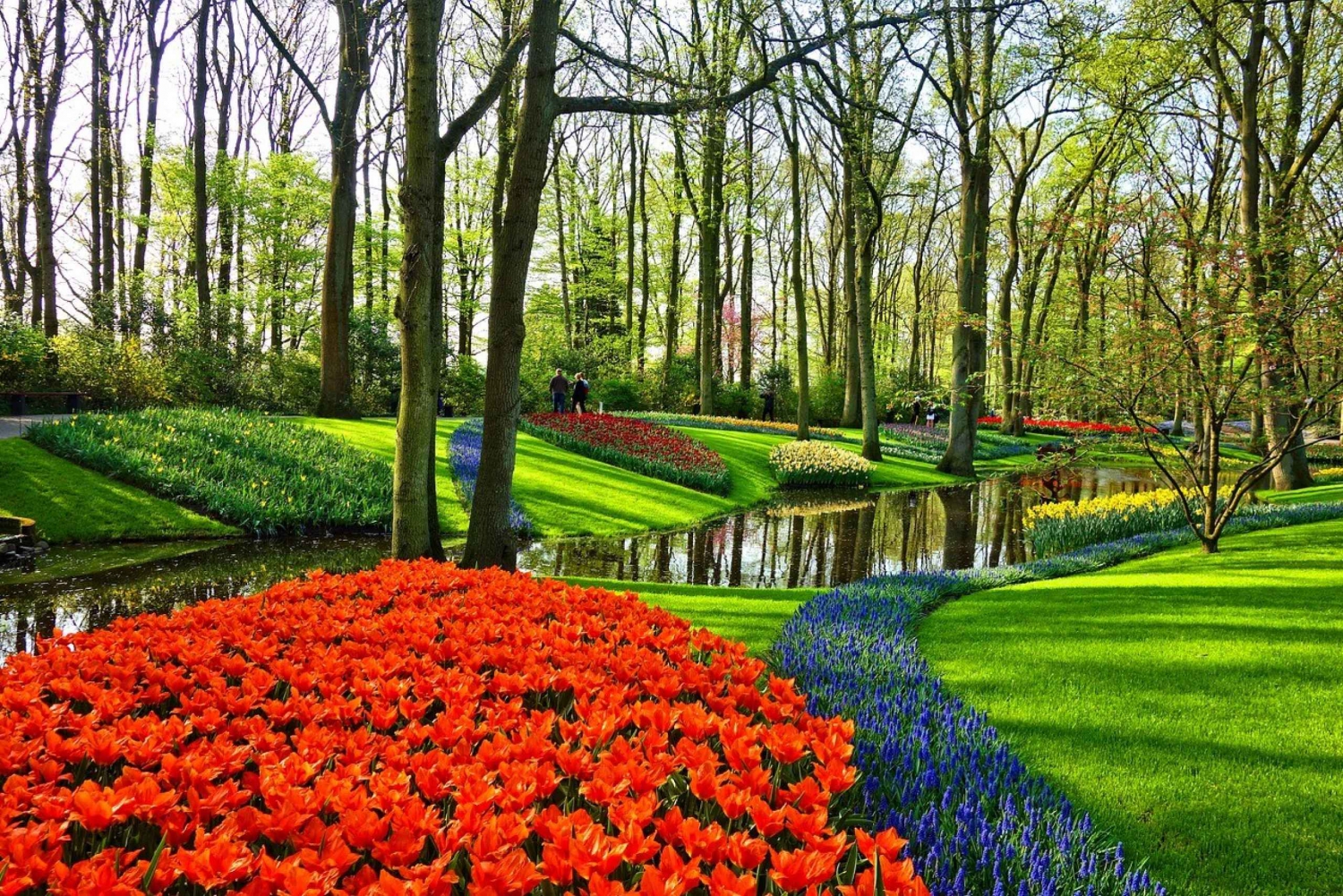 Au départ d'Amsterdam : Les jardins de Keukenhof et la visite de Giethoorn