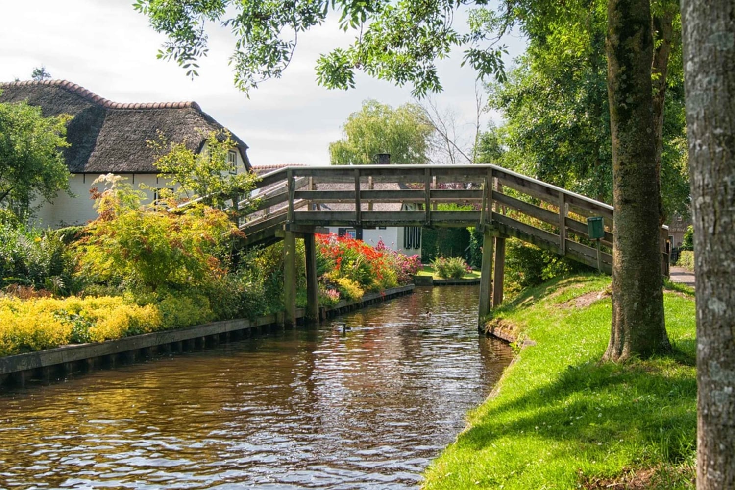 Из Амстердама: сады Кёкенхоф и тур по Гитхорн