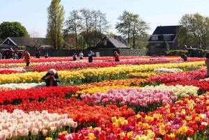 From Amsterdam: Keukenhof Gardens & Tulip Experience Tour