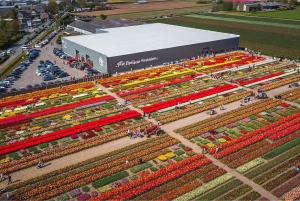 From Amsterdam: Keukenhof Gardens & Tulip Experience Tour