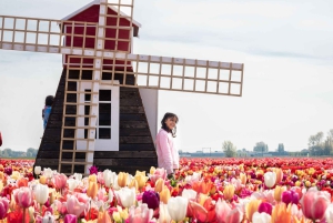 From Amsterdam: Keukenhof Gardens & Tulip Experience Tour