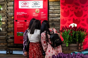 From Amsterdam: Keukenhof Gardens & Tulip Experience Tour