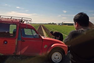 Desde Ámsterdam: Tulipanes de Keukenhof, Molinos de Viento y Volendam