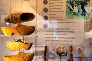 Vanuit Amsterdam: Keukenhof Tulpen, Molens & Volendam