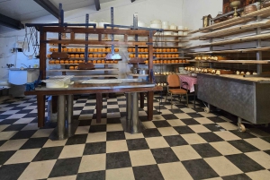 Vanuit Amsterdam: Keukenhof Tulpen, Molens & Volendam