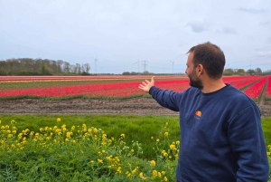 Vanuit Amsterdam: Keukenhof Tulpen, Molens & Volendam
