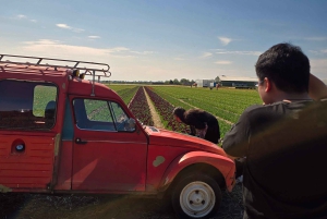 Vanuit Amsterdam: Keukenhof Tulpen, Molens & Volendam