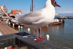 Vanuit Amsterdam: Keukenhof Tulpen, Molens & Volendam
