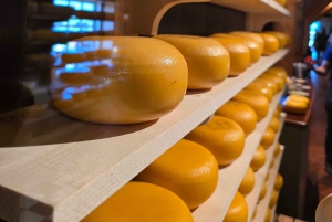 Vanuit Amsterdam: Keukenhof Tulpen, Molens & Volendam