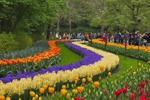 Vanuit Amsterdam: Keukenhof Tulpen, Molens & Volendam
