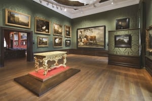 Vanuit Amsterdam: Kinderdijk en Den Haag Tour met Musea