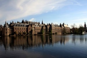 Z Amsterdamu: Kinderdijk i wycieczka do Hagi z muzeami