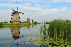 De Amesterdão: Visita a Kinderdijk e Haia com museus