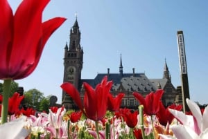 Von Amsterdam aus: Kinderdijk und Den Haag Tour mit Museen