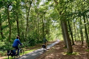 From Amsterdam/North Holland: Texel Island E-bike Tour