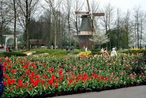 From Amsterdam: Private Day Trip to Keukenhof & De Tulperij