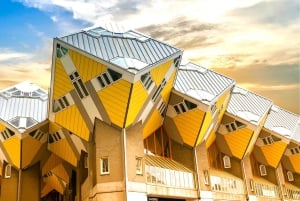 Da Amsterdam: Escursione privata di un giorno a Rotterdam e ritorno