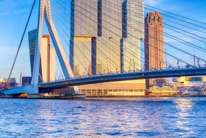 Da Amsterdam: Escursione privata di un giorno a Rotterdam e ritorno