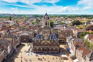 Desde Ámsterdam: Tour privado de un día completo por Holanda