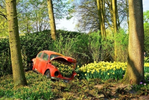 From Amsterdam: Private Tour to Keukenhof & Giethoorn
