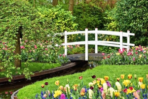 From Amsterdam: Private Tour to Keukenhof & Giethoorn