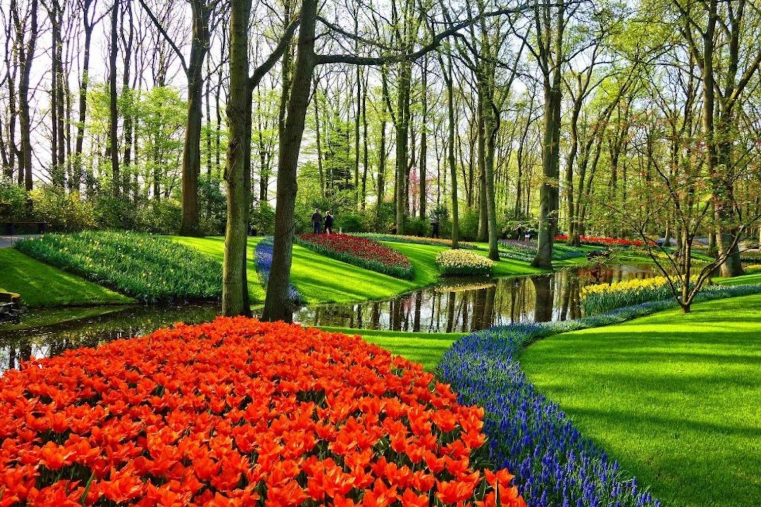 From Amsterdam: Private Windmills and Keukenhof Tour