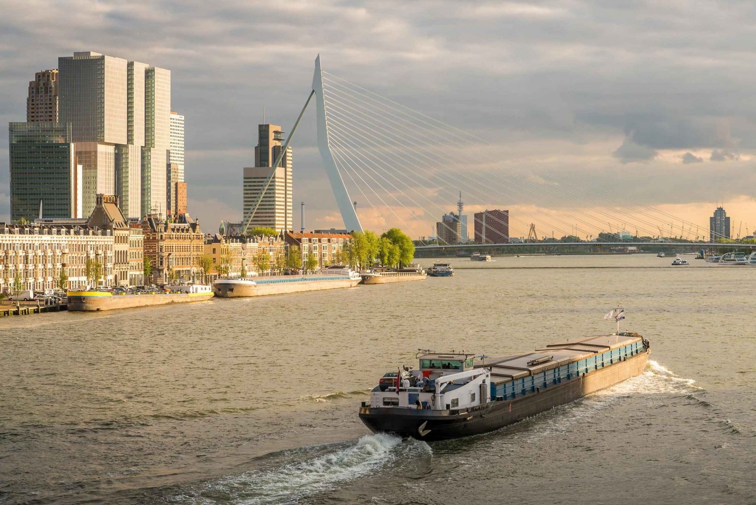 Fra Amsterdam: Tur til Rotterdam og Haag på spansk