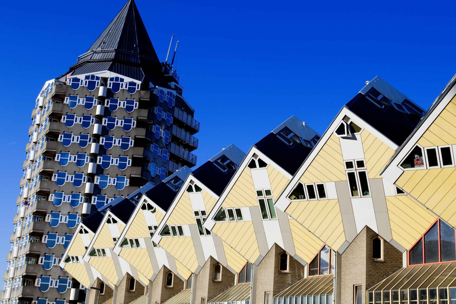 Desde Amsterdam: Rotterdam y La Haya Tour en español