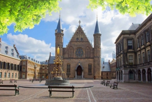 From Amsterdam: Rotterdam and The Hague Tour in Spanish