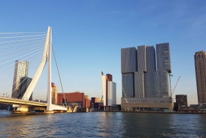 Au départ d'Amsterdam : Excursion privée d'une journée à Rotterdam et Zaanse Schans