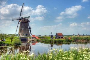 Au départ d'Amsterdam : Excursion privée d'une journée à Rotterdam et Zaanse Schans