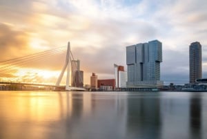 Ab Amsterdam: Geführte Tagestour nach Rotterdam, Delft und Den Haag