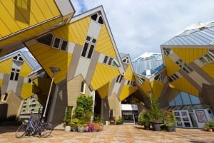 From Amsterdam: Rotterdam, The Hague & Delft Private Tour