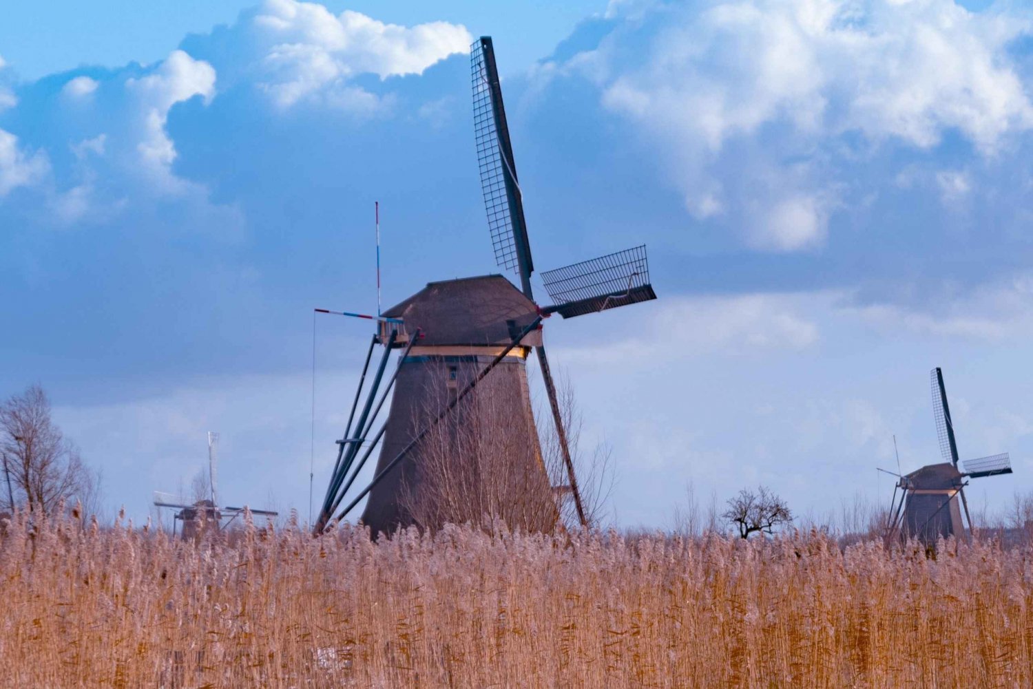 Da Amsterdam: Visita Kinderdijk, Euromast, Delft e Den Haag