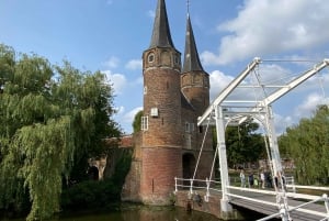 From Amsterdam: See Kinderdijk, Euromast, Delft and Den Haag