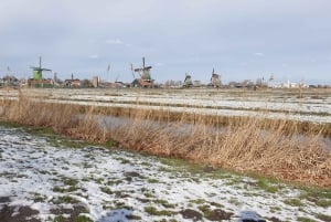 From Amsterdam: Small Group Zaanse Schans and Volendam Tour