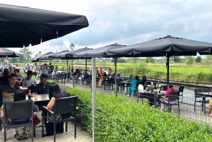 Tagestour von Amsterdam nach Giethoorn