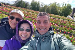 Tagestour von Amsterdam nach Giethoorn