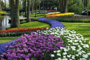 Amsterdam: Keukenhof Gardens Guided Tour & Tulip Experience