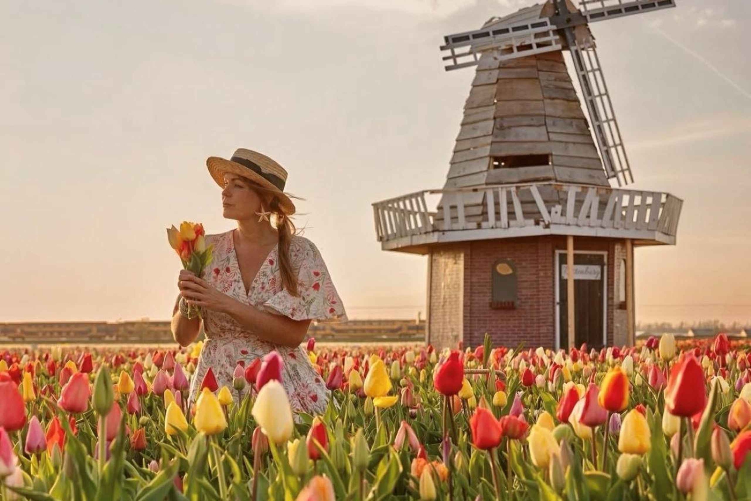 アムステルダム発：チューリップ畑体験 – The Tulip Barnへようこそ