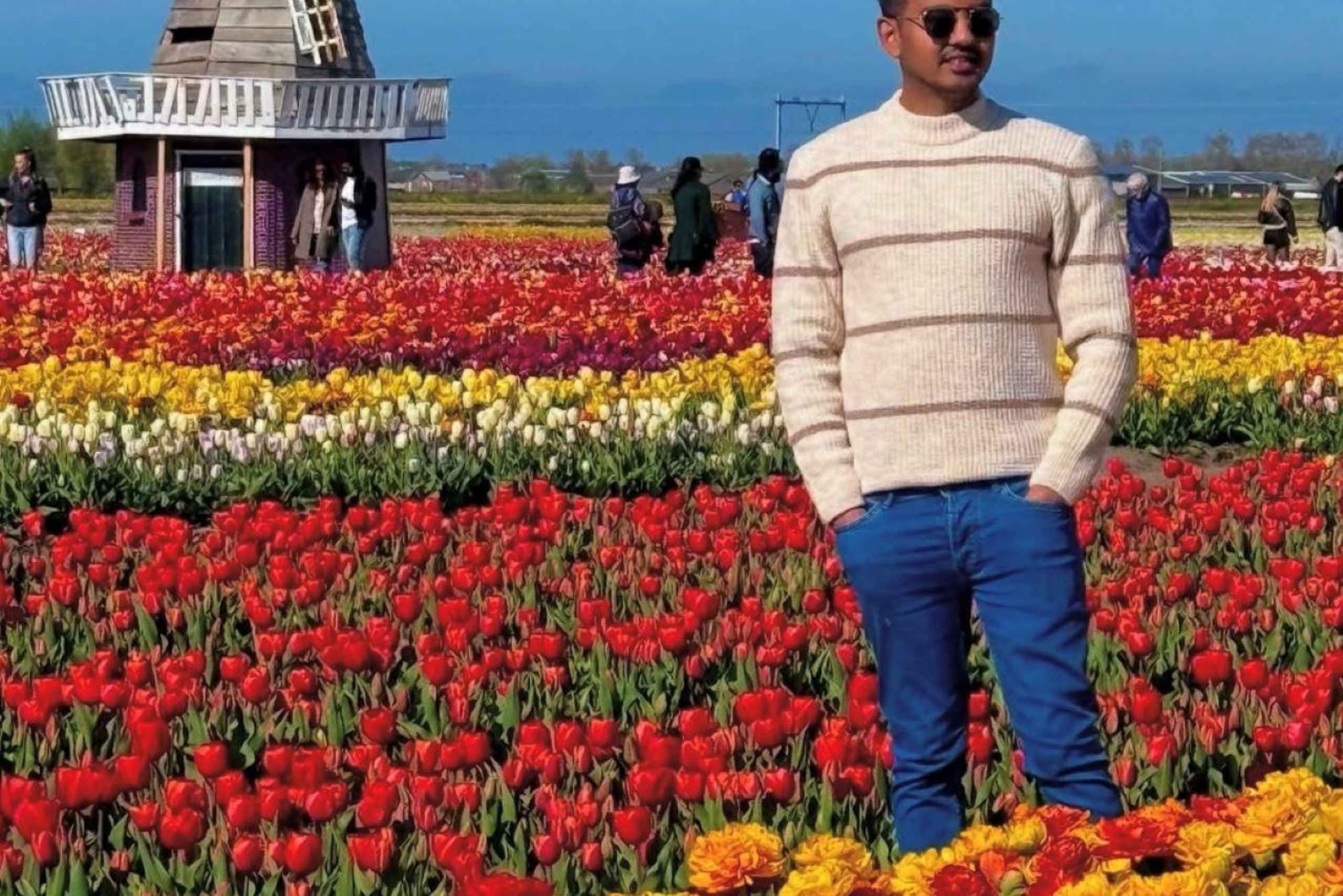 アムステルダム発：チューリップ畑体験 – The Tulip Barnへようこそ